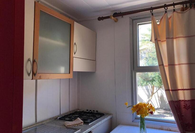 هتل Residence Sa Pintadera