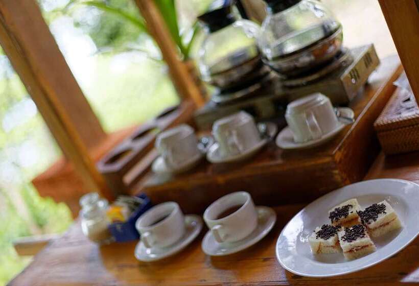 Bed and Breakfast Menjangan Eco Lodge