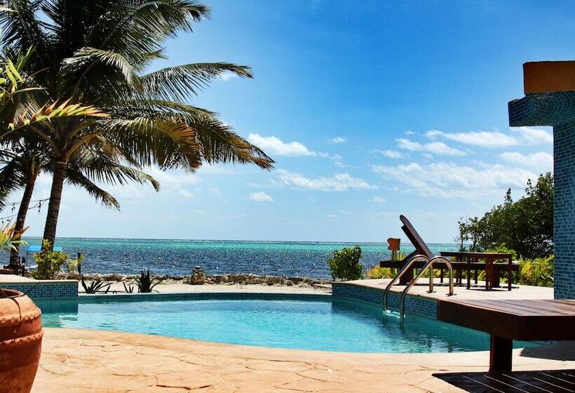 هتل Bella Vista Resort Belize