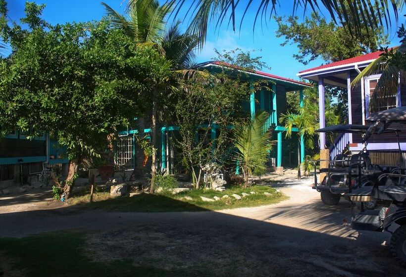 هتل Bella Vista Resort Belize
