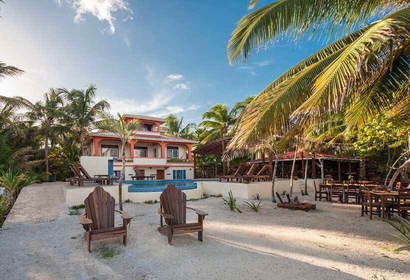 هتل Bella Vista Resort Belize