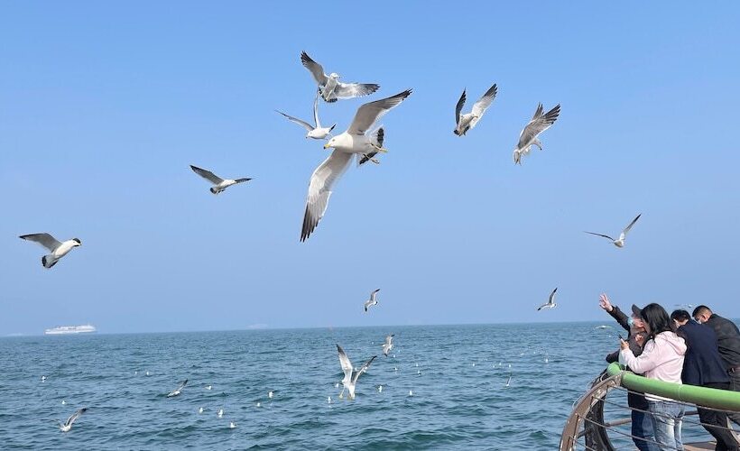 Fotos del hotel Crowne Plaza Dalian Sports Center, An Ihg:  13