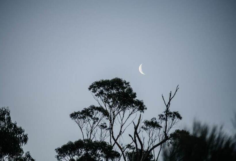 호텔 Freycinet Resort