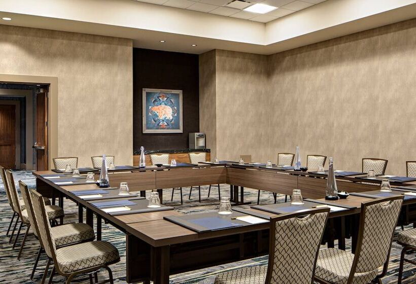 هتل Gaylord Rockies Resort & Convention Center