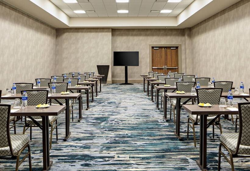 هتل Gaylord Rockies Resort & Convention Center