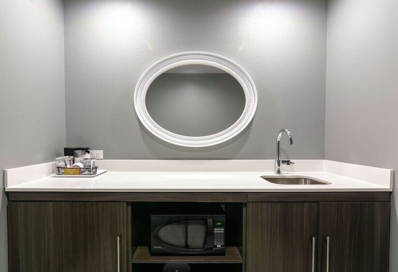 هتل Hampton Inn & Suites Dallas East