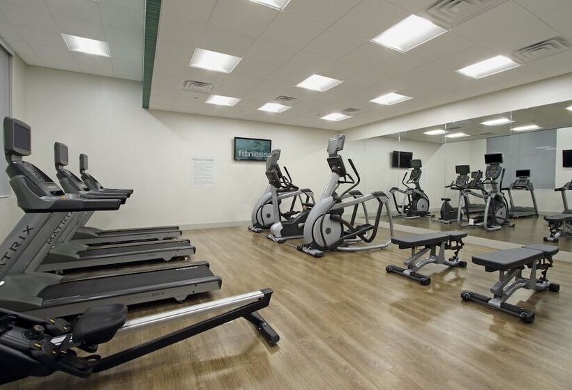 هتل Holiday Inn Express And Suites Frisco Nw