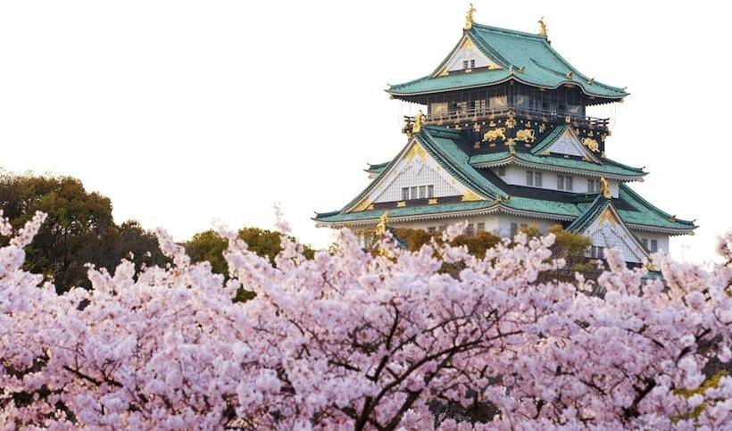 هتل Sotetsu Fresa Inn Kitahama