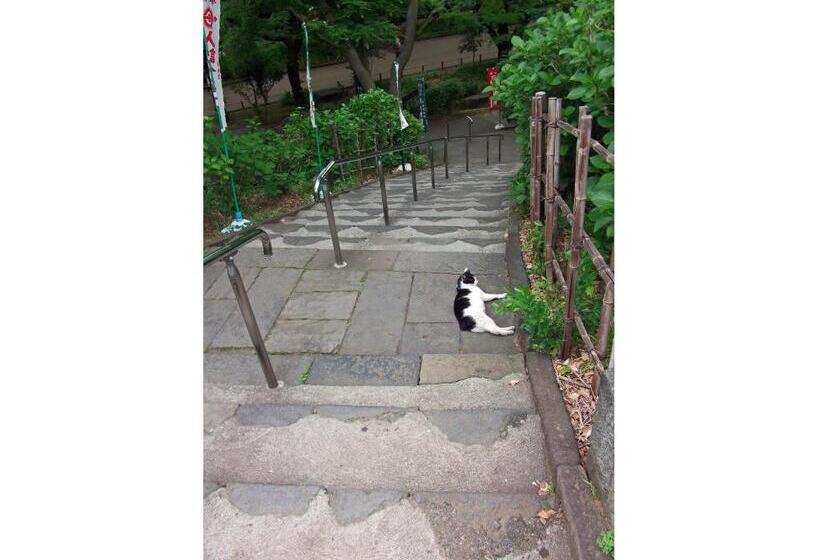 Fotos del hotel Wing International Select Ueno Okachimachi:  61