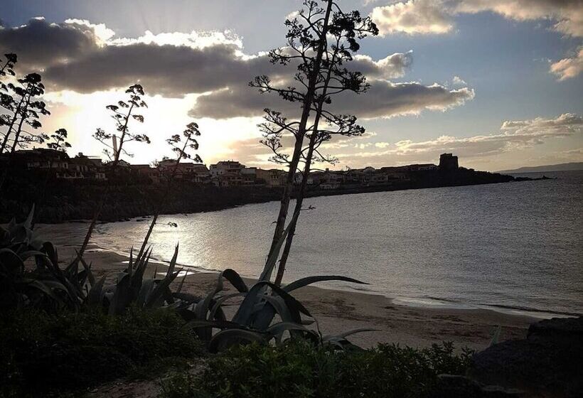 مبيت وإفطار Concas Apartament