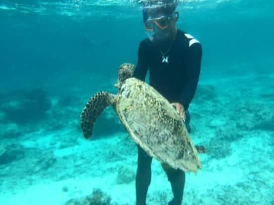 تختخواب و صبحانه Dili Gili