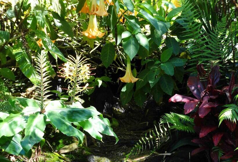 אתר נופש Chalet Kilauea