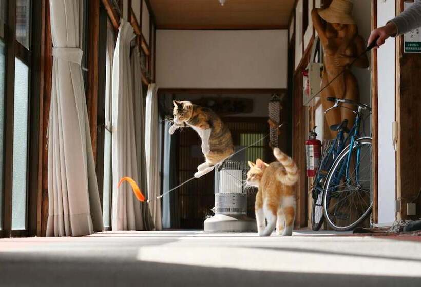Рёкан 民宿たきた館 Guest House Takita Kan