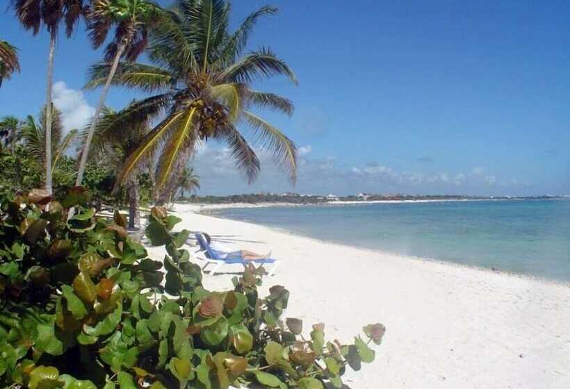 هتل Alea Tulum