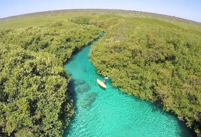 هتل Alea Tulum
