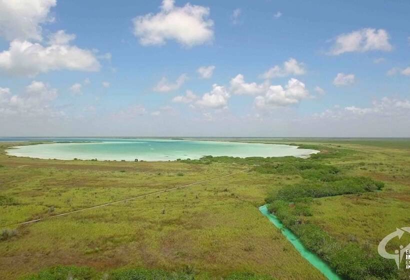 هتل Alea Tulum