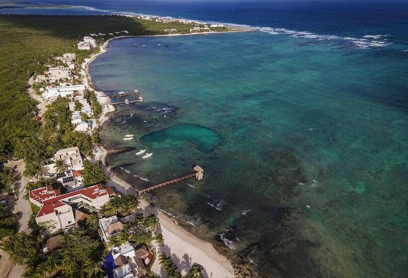 هتل Alea Tulum