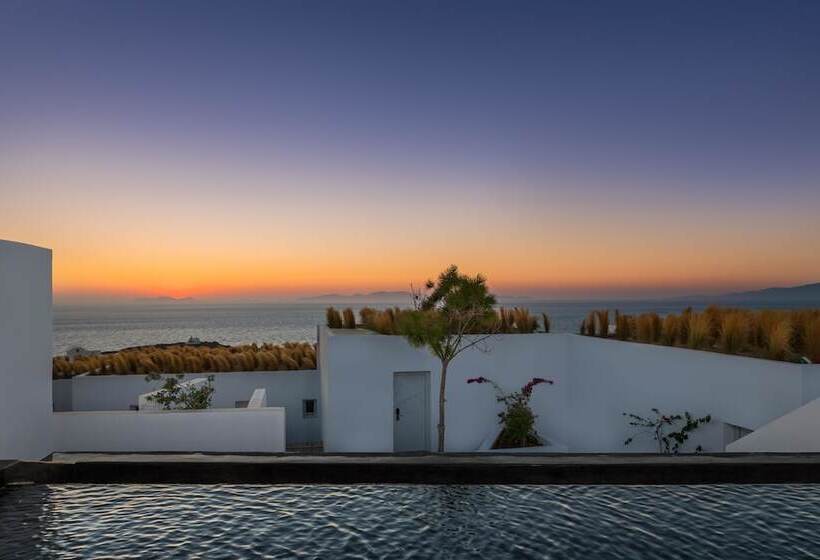 هتل Andronis Arcadia