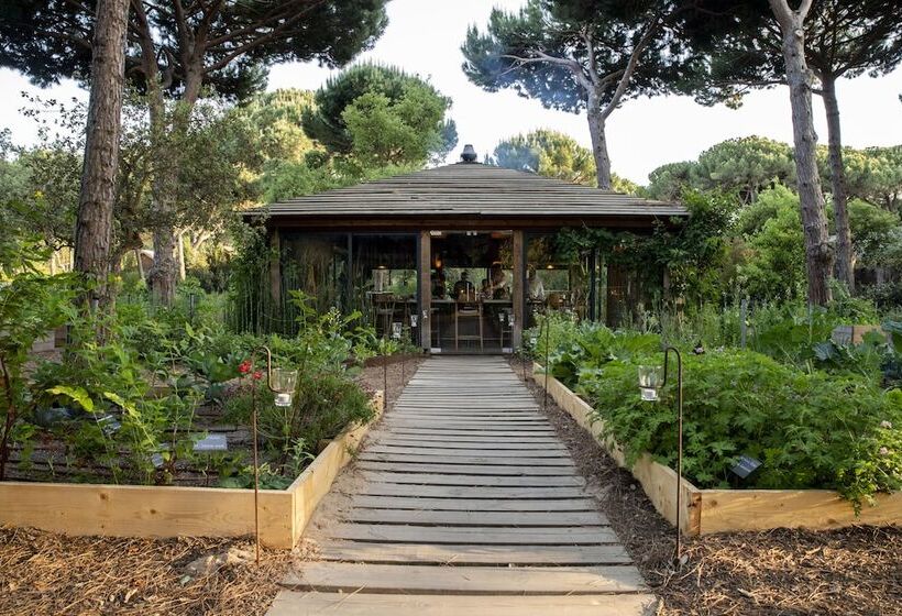 فندق Sublime Comporta Country Retreat & Spa