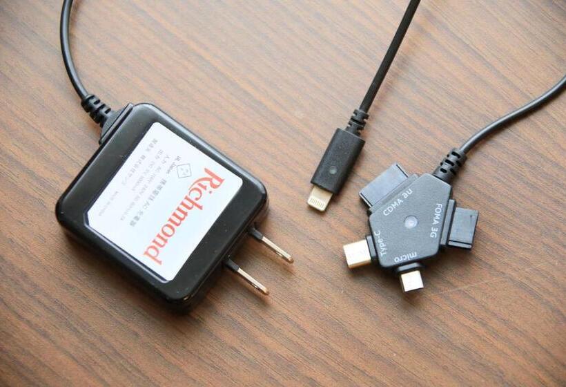 Fotos del hotel Richmond  Asakusa:  13