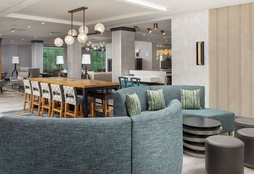 هتل Hilton Garden Inn Westchester Dobbs Ferry, Ny