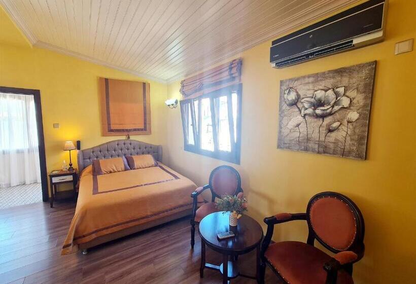 Fotos del hotel Sofia Boutique:  3
