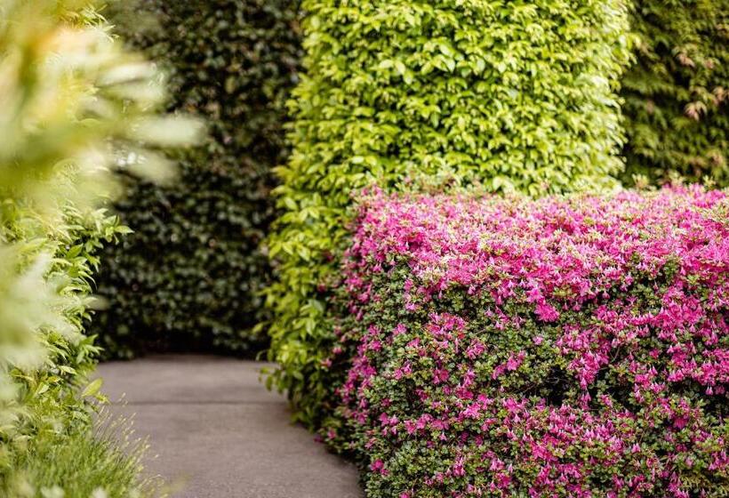 Garden Residence