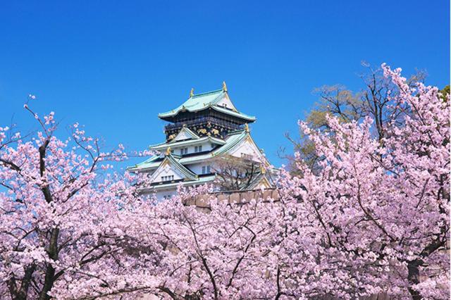 Fotos del hotel Eins Inn Umedahigashi:  34