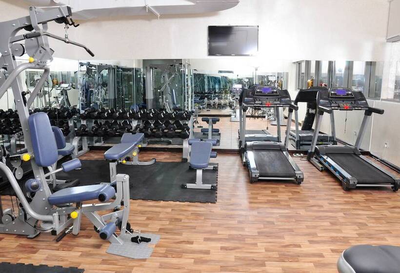 Fotos del hotel Ewan Ajman Suites:  24