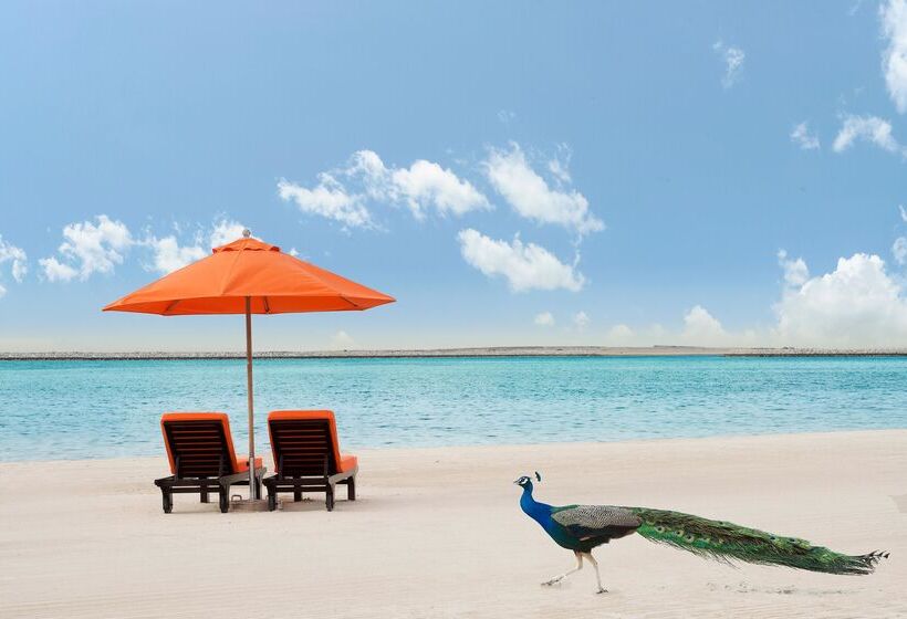 Fotos del hotel Ja Lake View:  4