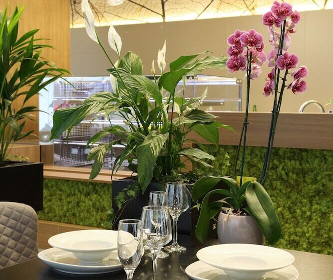 Fotos del hotel Koncept Residence:  11