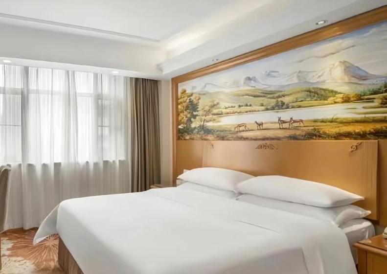 هتل Vienna  Shenzhen Honghu Branch