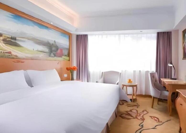 هتل Vienna  Shenzhen Honghu Branch