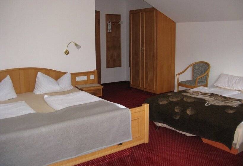 پانسیون Alpenhotel Allgäu