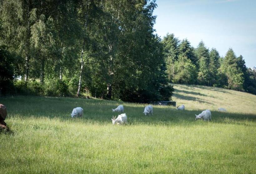 پانسیون Bremerhof