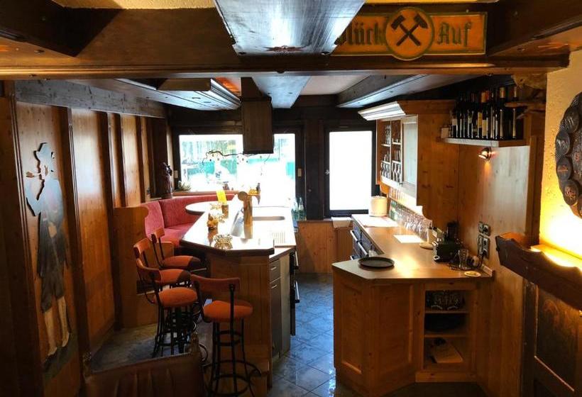 بنسيون Landhotel Alte Aue