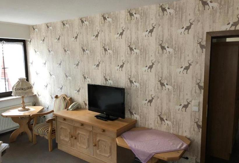 بنسيون Landhotel Alte Aue