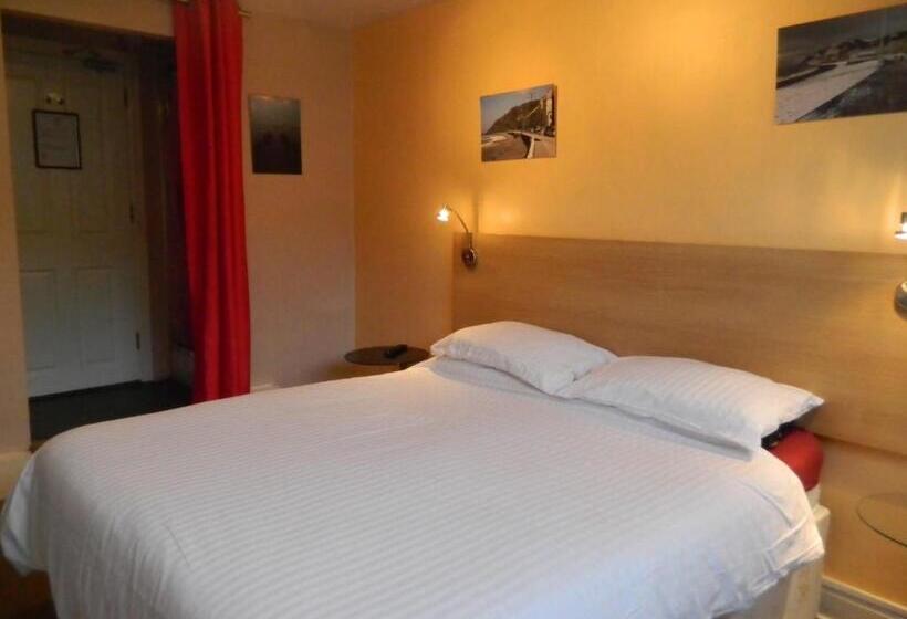 פנסיון Llwynygog Guest House