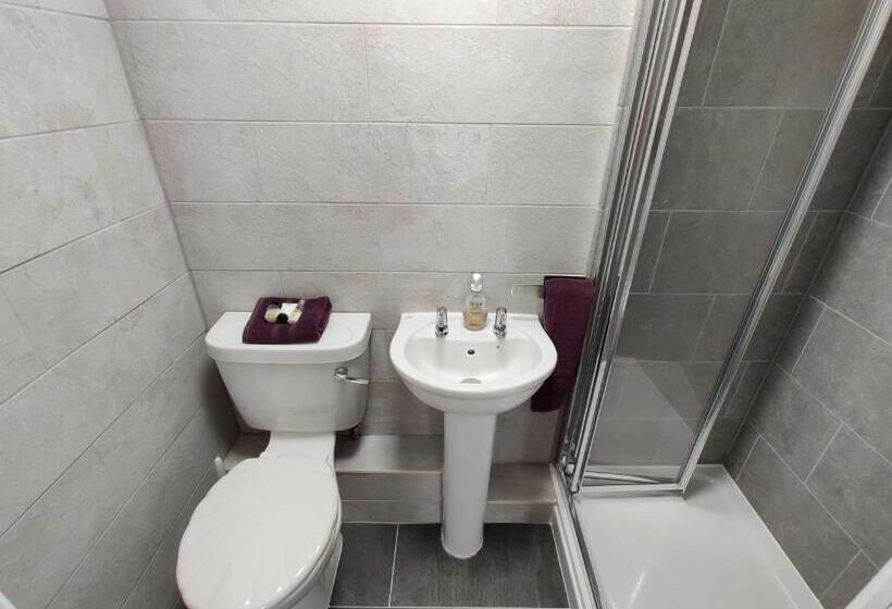 פנסיון Llwynygog Guest House