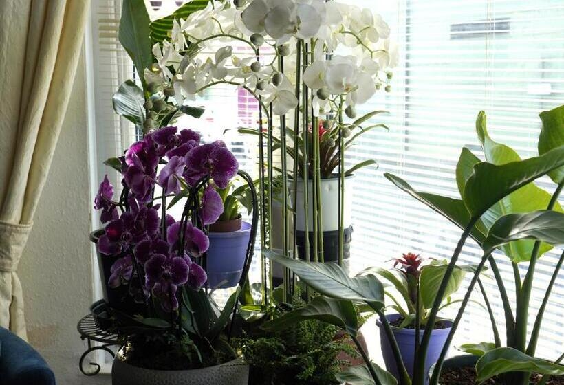 פנסיון Marlborough Guest House B & B