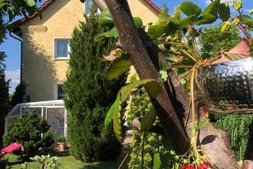 Pension Haus Bielke