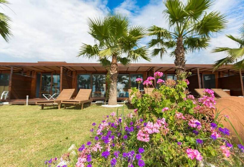 Risus Beach Resort