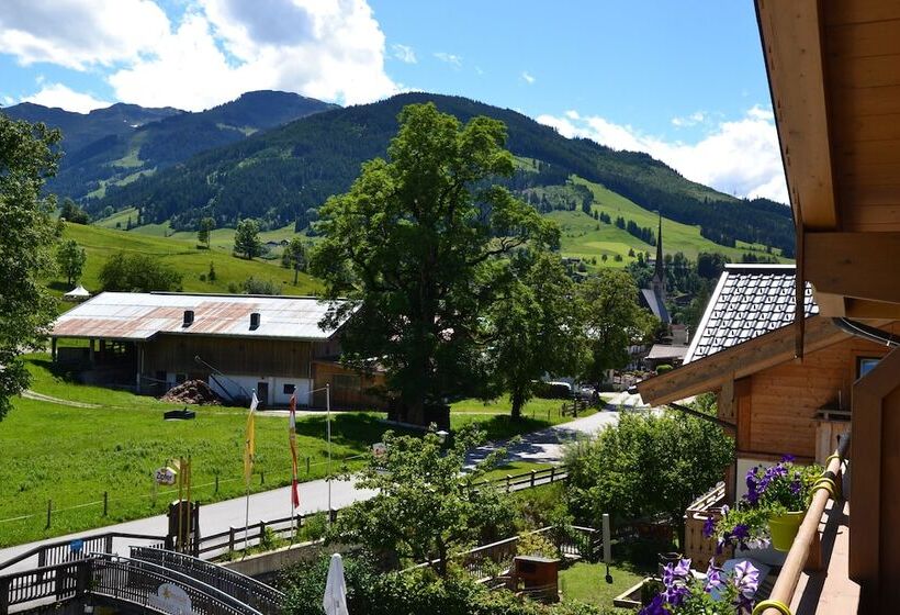 هاستل Sonnenlicht Maria Alm