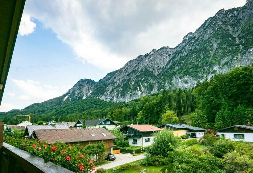 مبيت وإفطار Pension Bergfried