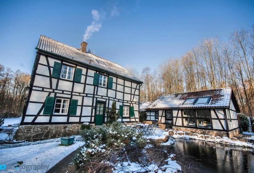 Пансион Gästehaus Wahnenmühle