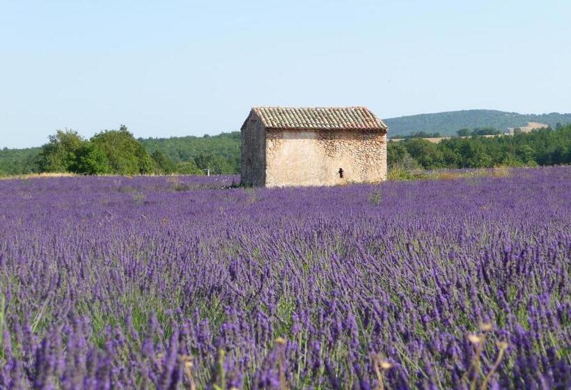 پانسیون Résidence Les Peupliers