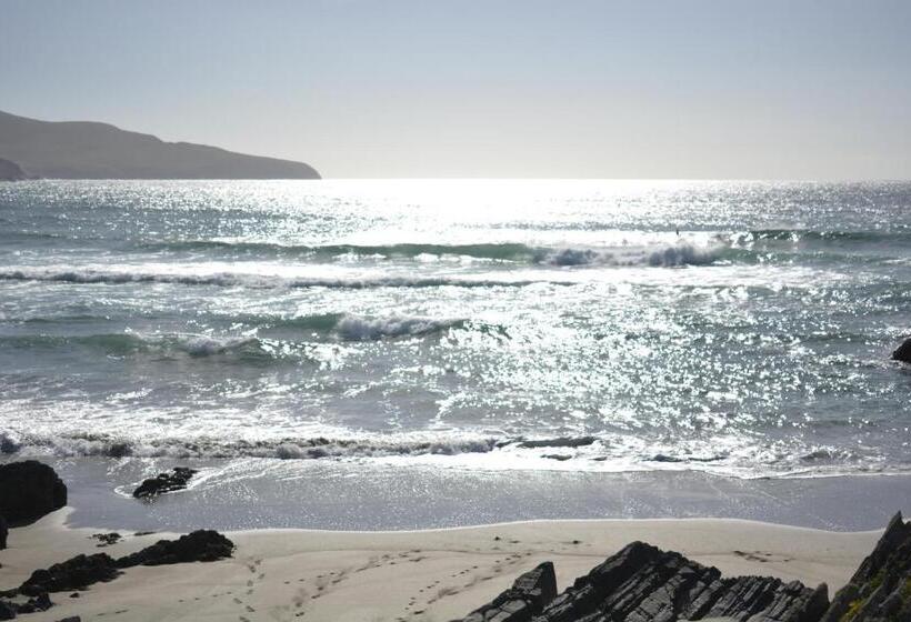 بنسيون The Ferry Boat