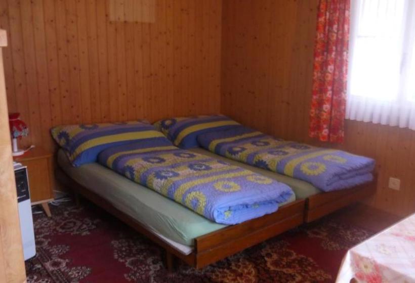 הוסטל Gasthaus Bergheim