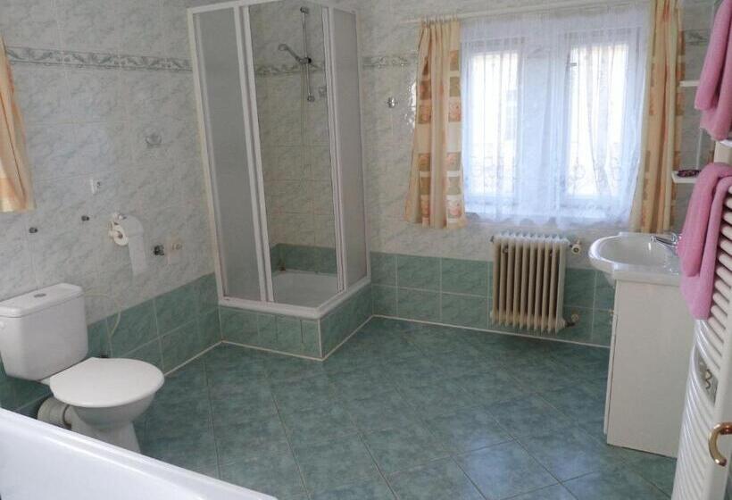 Пансион Dexter