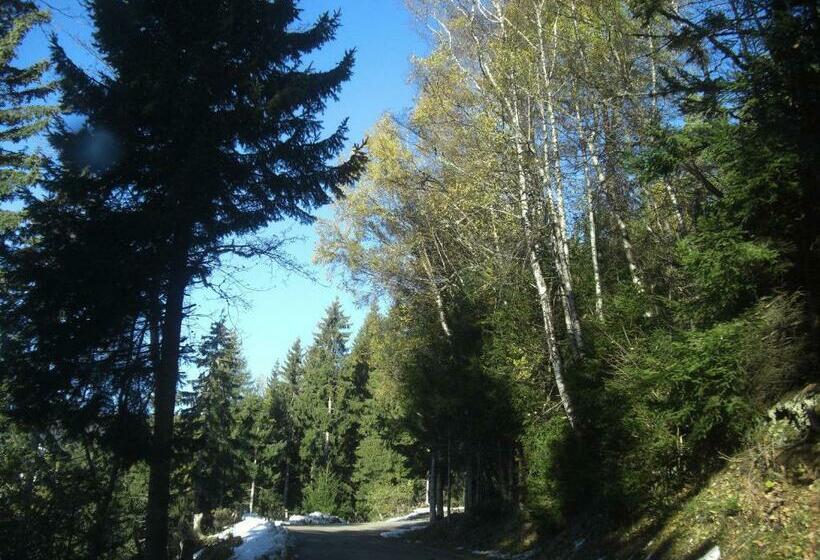 بنسيون Gasthof Laggner